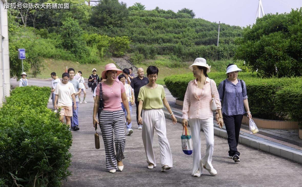 重新认识中医系统关于“大健康”的概念