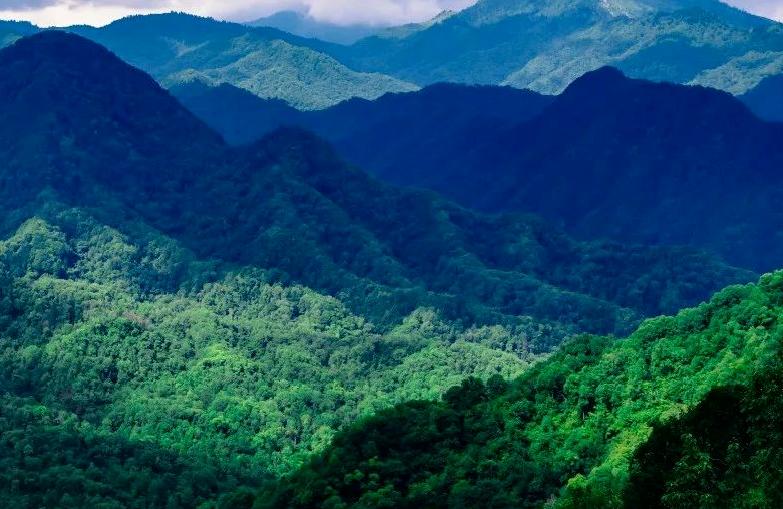 西安旅游攻略详细学生,学生西安旅游攻略最新