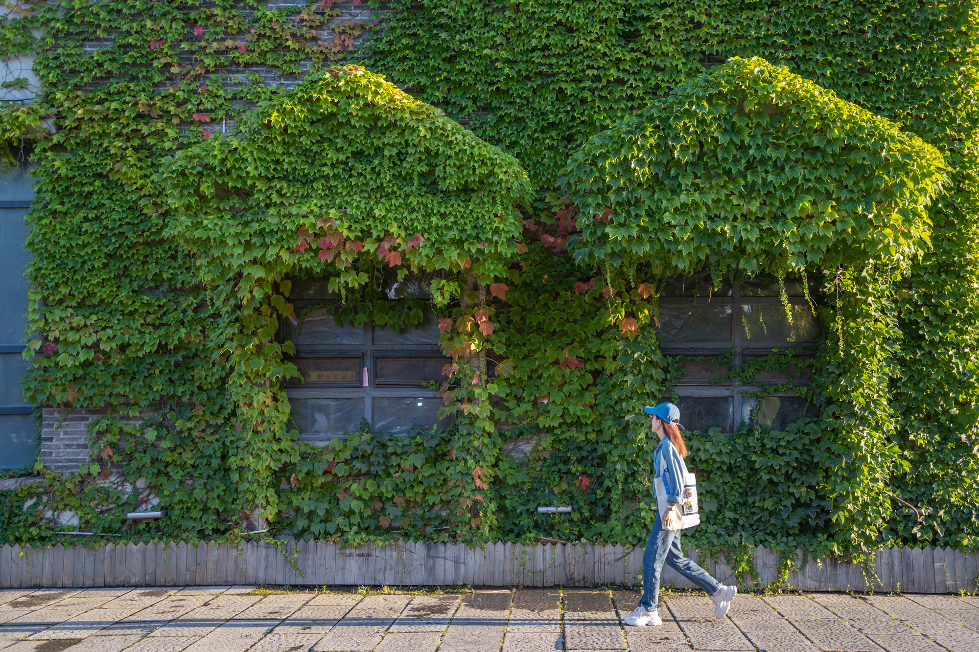 营口文化与美食,营口自然风景