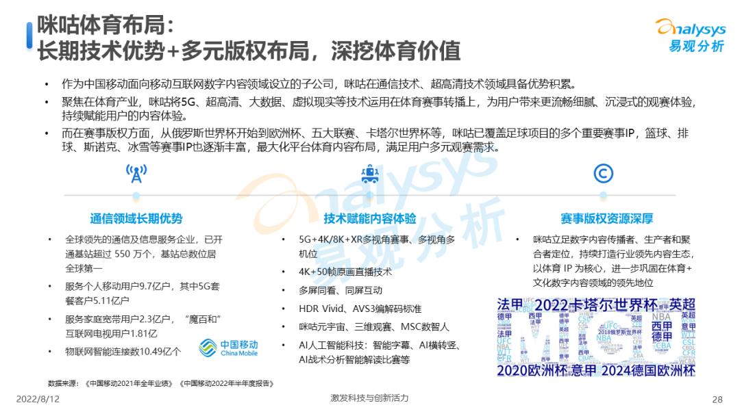 中国足球赛事预测,中国足球市场调查研究报告