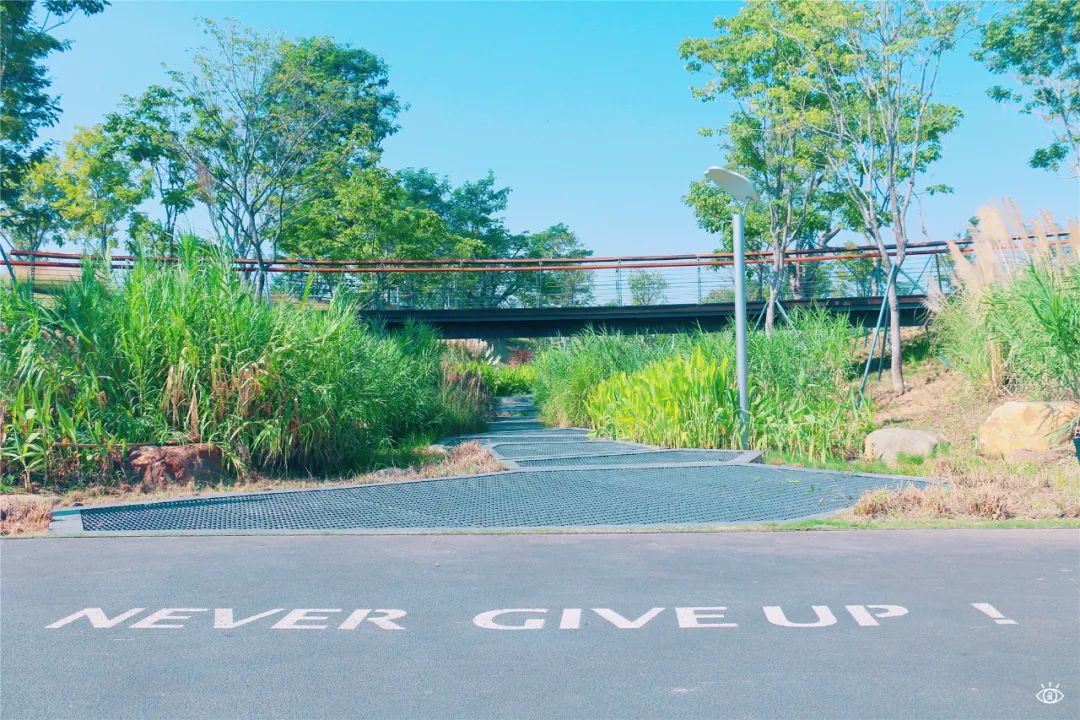 深圳超美公园,深圳好风景公园