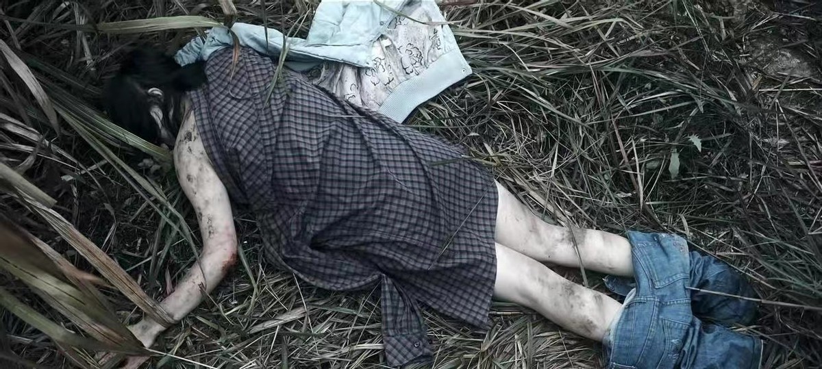 他是谁：碎尸案凶手如何消失的？八年后原因曝光，卫国平才是关键