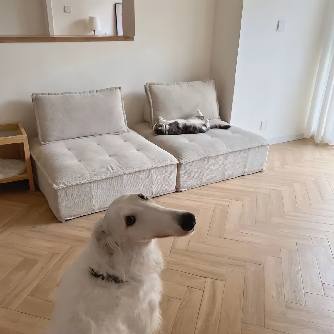 没十年工龄背不出这通勤包|冷段子2520去年今日2162