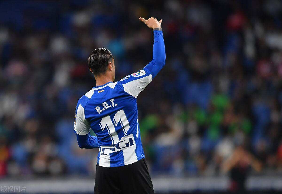 卡塔尔世界杯预选赛爱尔兰球星,卡塔尔世界杯各国球星排行