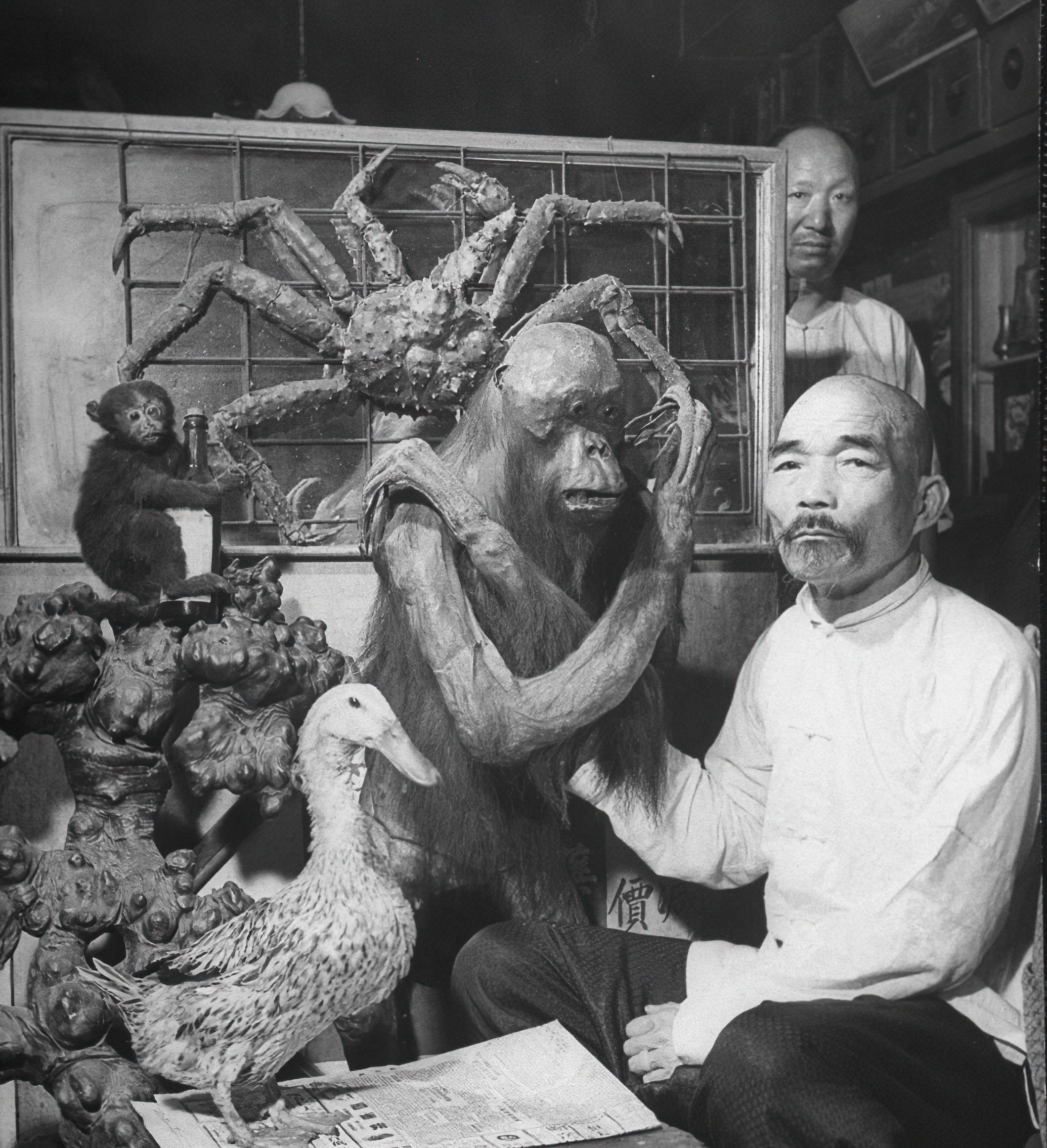 八十年前的中药,以前80年代的药品