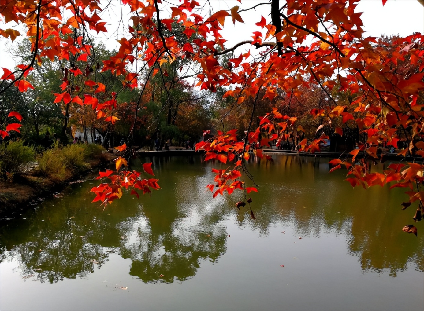 古诗词里的冬日温暖,古诗词里最美的冬天句子
