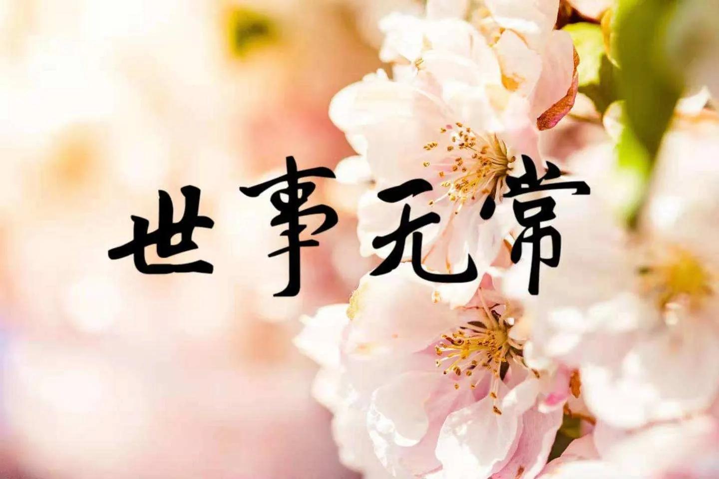 歌曲小芳啊小芳,歌曲小芳小芳