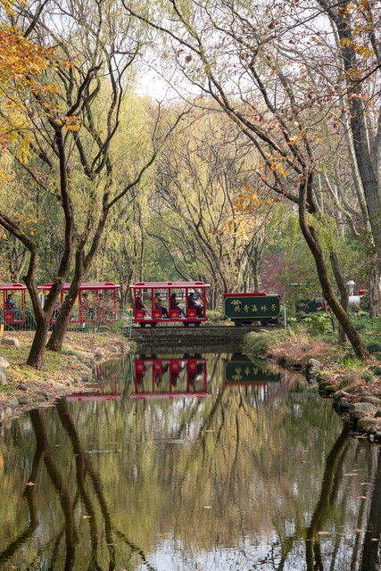 大自然的怀抱最美妙,大自然的怀抱的视频
