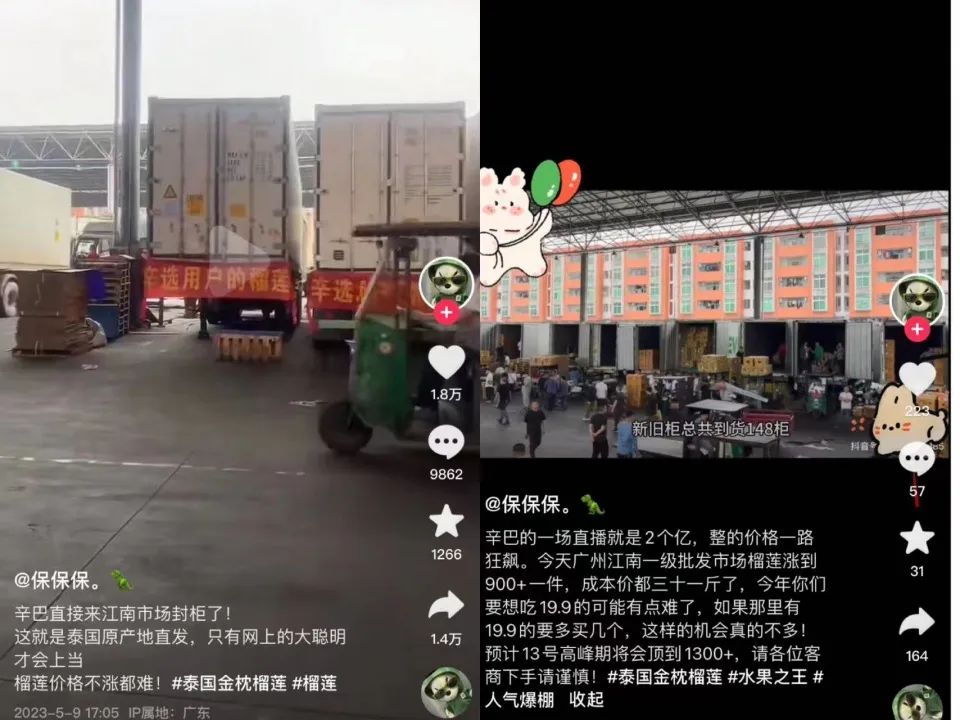 辛巴垄断榴莲问题怎样破局,辛巴把榴莲控制了吗