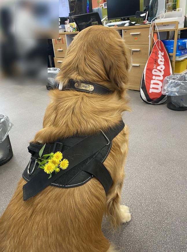 picovr4体验,pico4kvr一体机深度测评