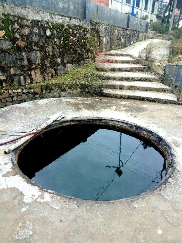 巍巍龙潭岭，大美杉树垌