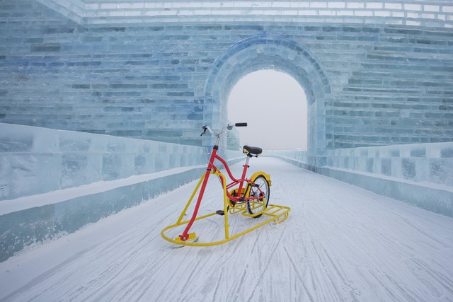 哈尔滨极地公园极地馆简介,哈尔滨极地公园极地馆门票