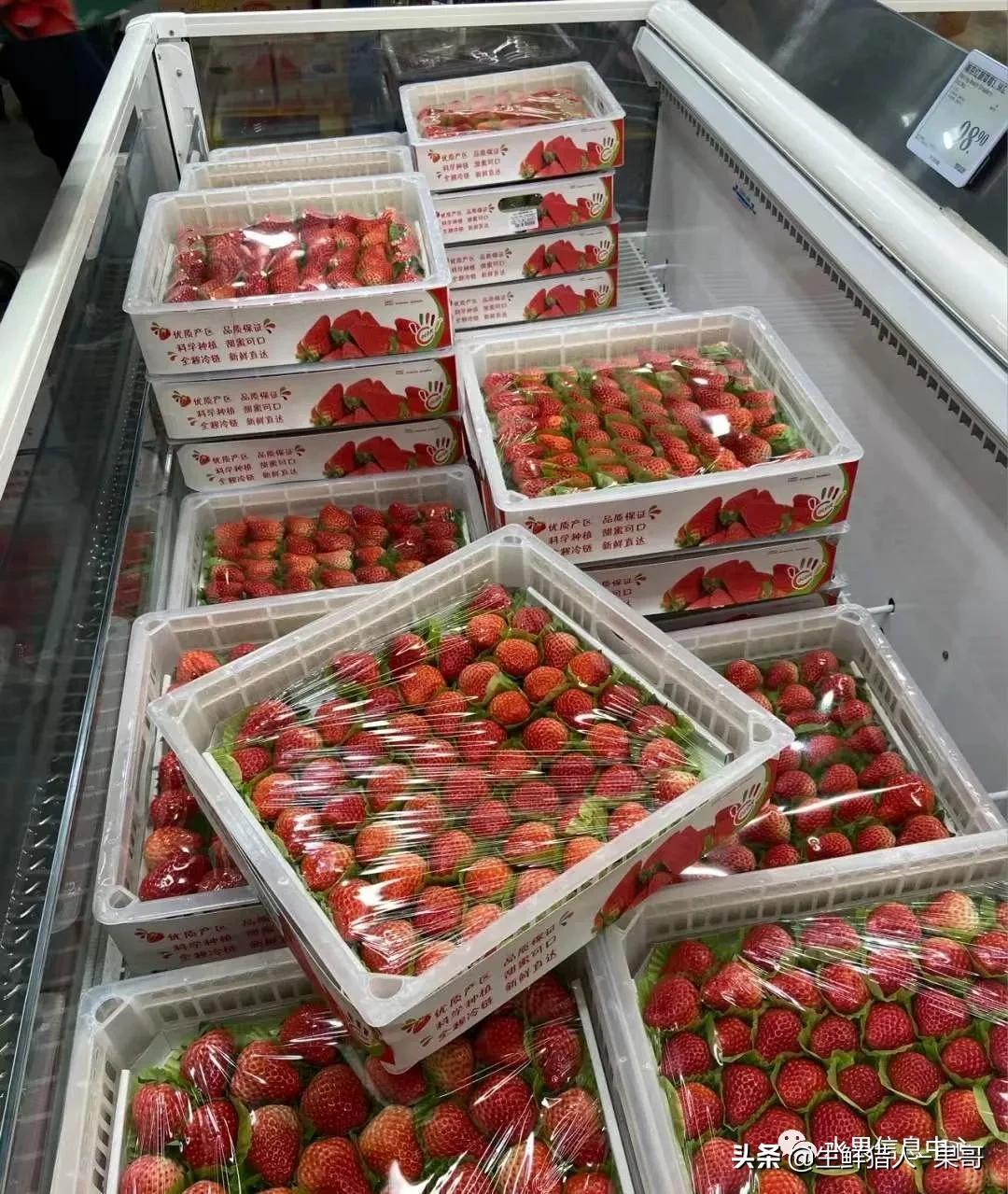 在水果中浆果是分哪几种,水果分类浆果