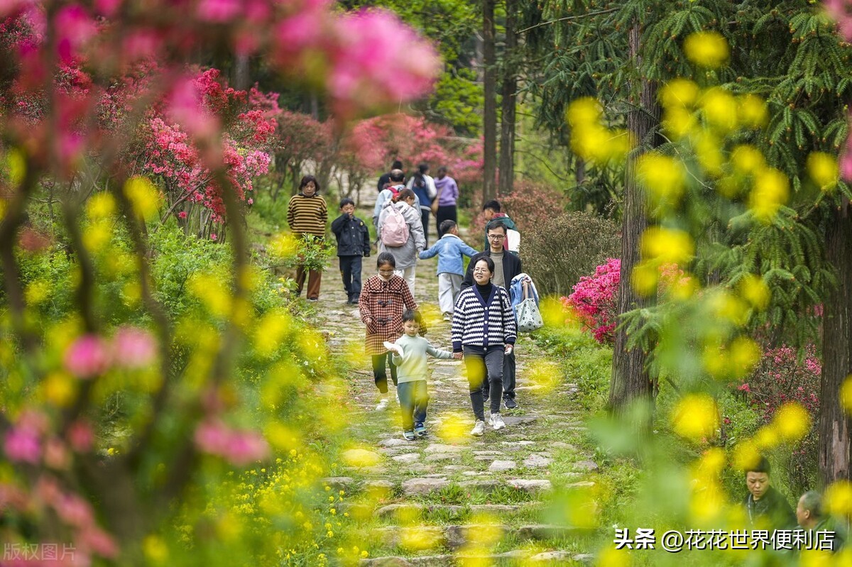 浙江湖州:景美人善不宰客,很多人都忽略了它
