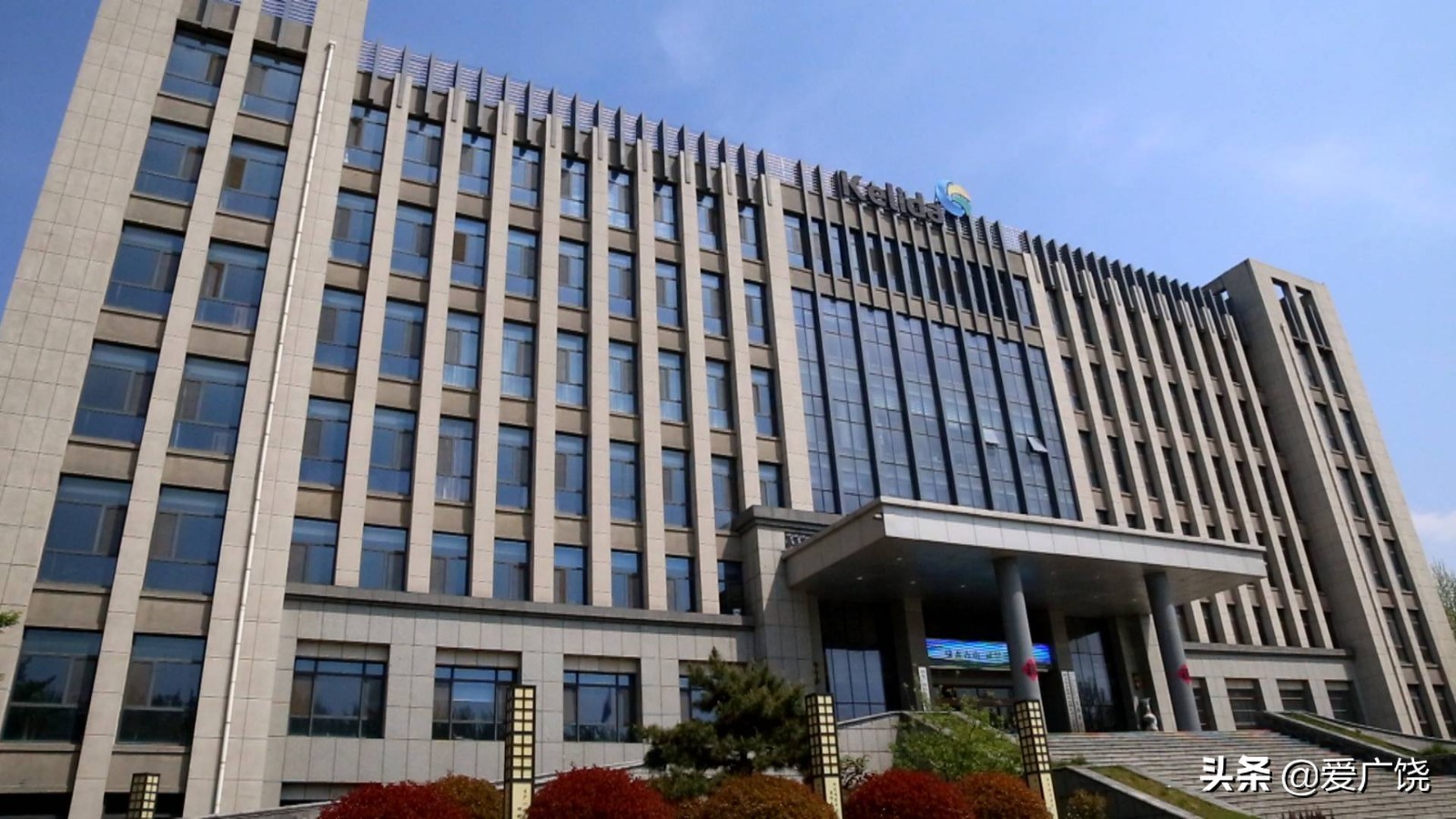 科力达石化有限公司员工,科力达石化科技有限公司怎么样