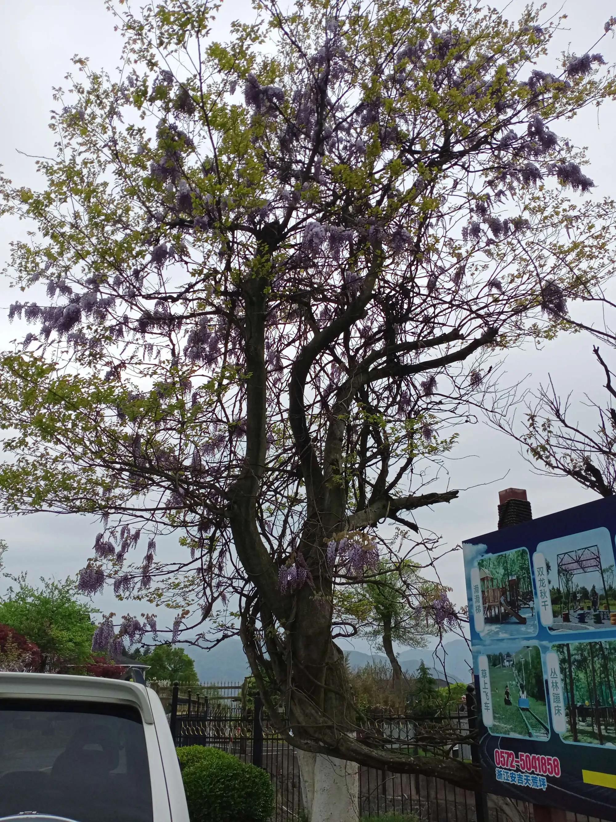 宜昌宜都当阳市组团江南六日游