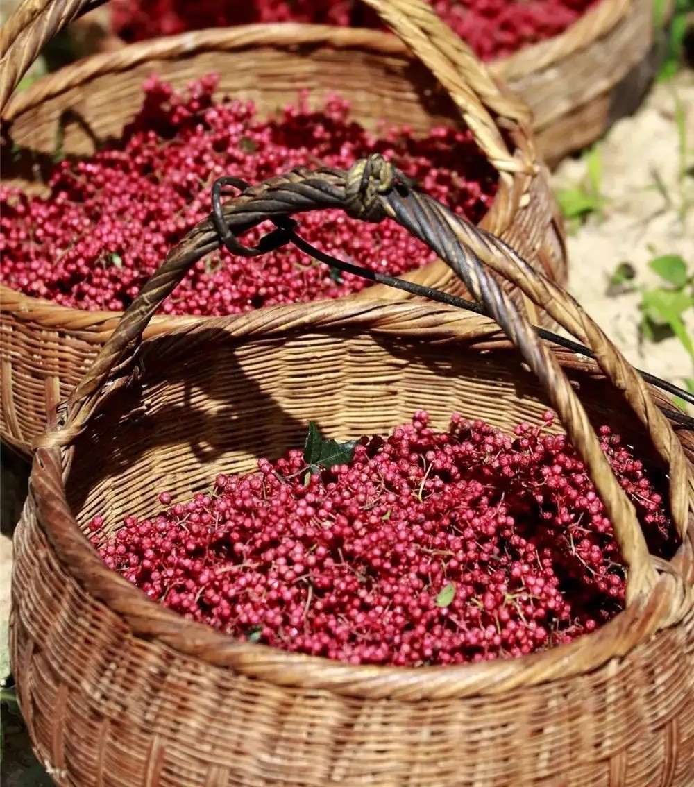 全国哪的花椒最正宗？经过对比，这4个地方名气最大，有你家乡吗