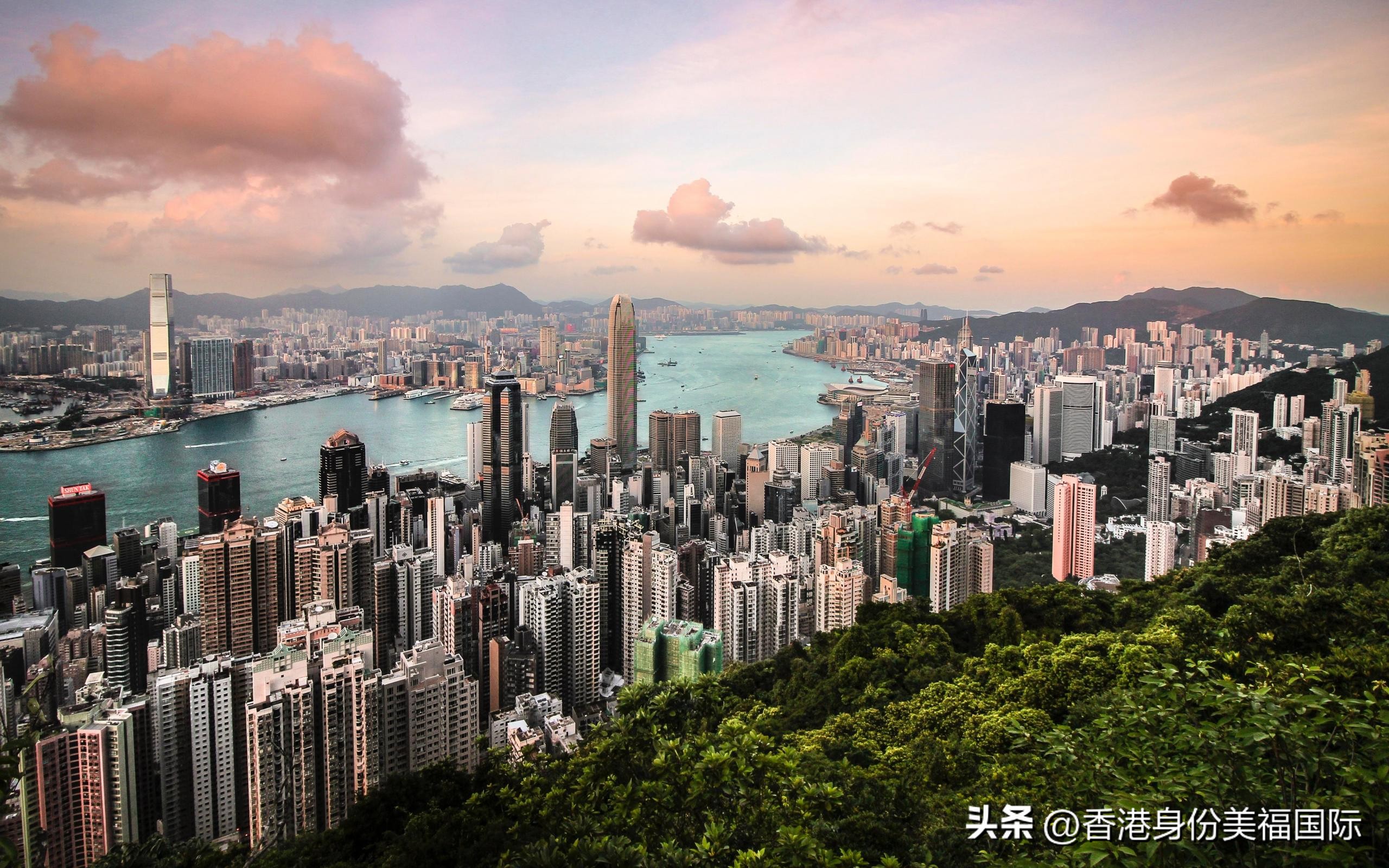 2023年香港优才计划每年多少人 (如何申请香港优才和专才)