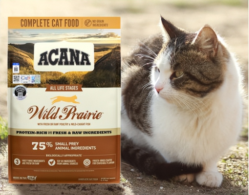 猫粮品牌推荐性价比高,什么品牌的猫粮比较好