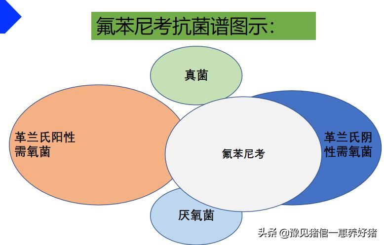 兽医微生物图谱,兽医药理基础知识