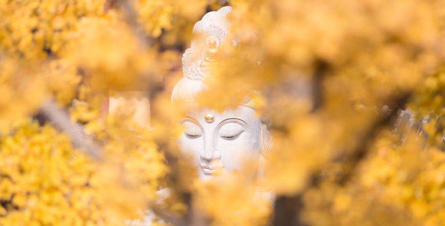 西游记中的八戒真实身份,八戒是金身罗汉菩萨吗