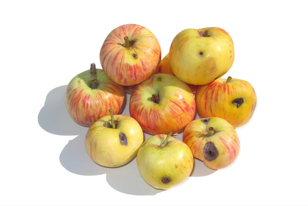 泸定桥40吨铁索怎样过岸,泸定桥铁索是怎样架上去的