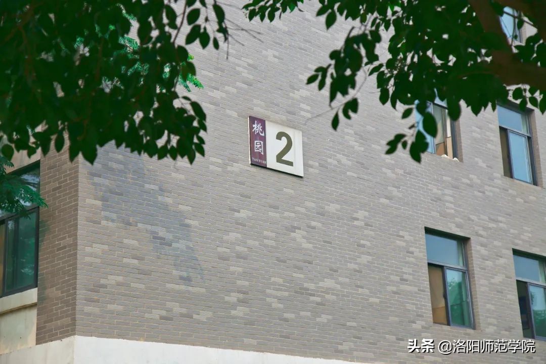 洛师好考吗,洛师最好的专业