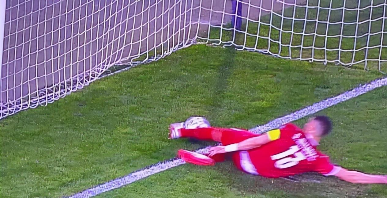 足球过门线被扑出算进吗,足球场冤案