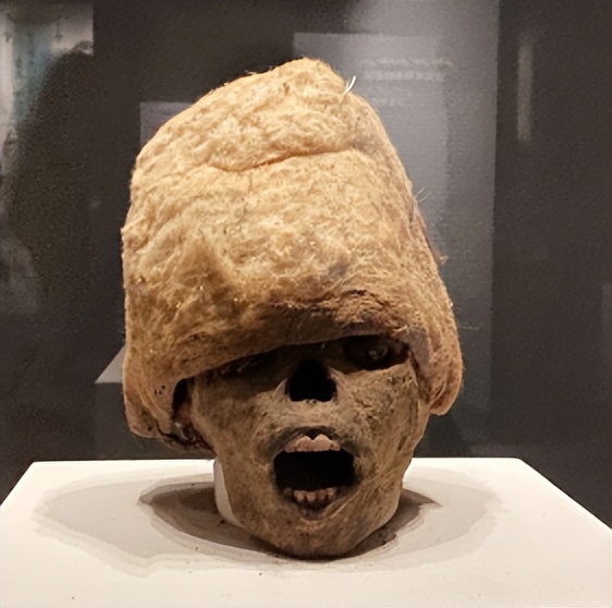 让尸体开口说话查案,让尸体说话纪录片