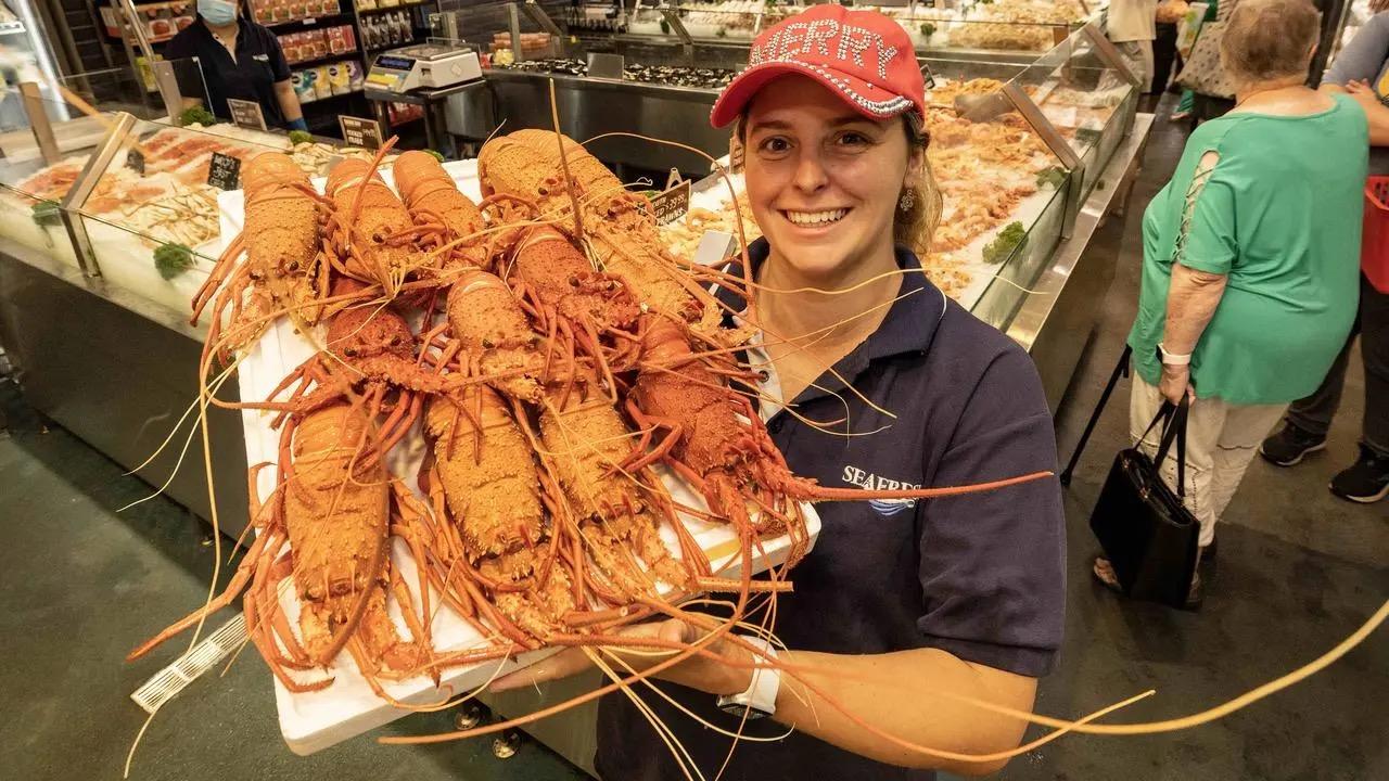 1月8日重开国境：有人采购退烧药回国过年，外企开始制定访华计划，立刻恢复出境游并不容易