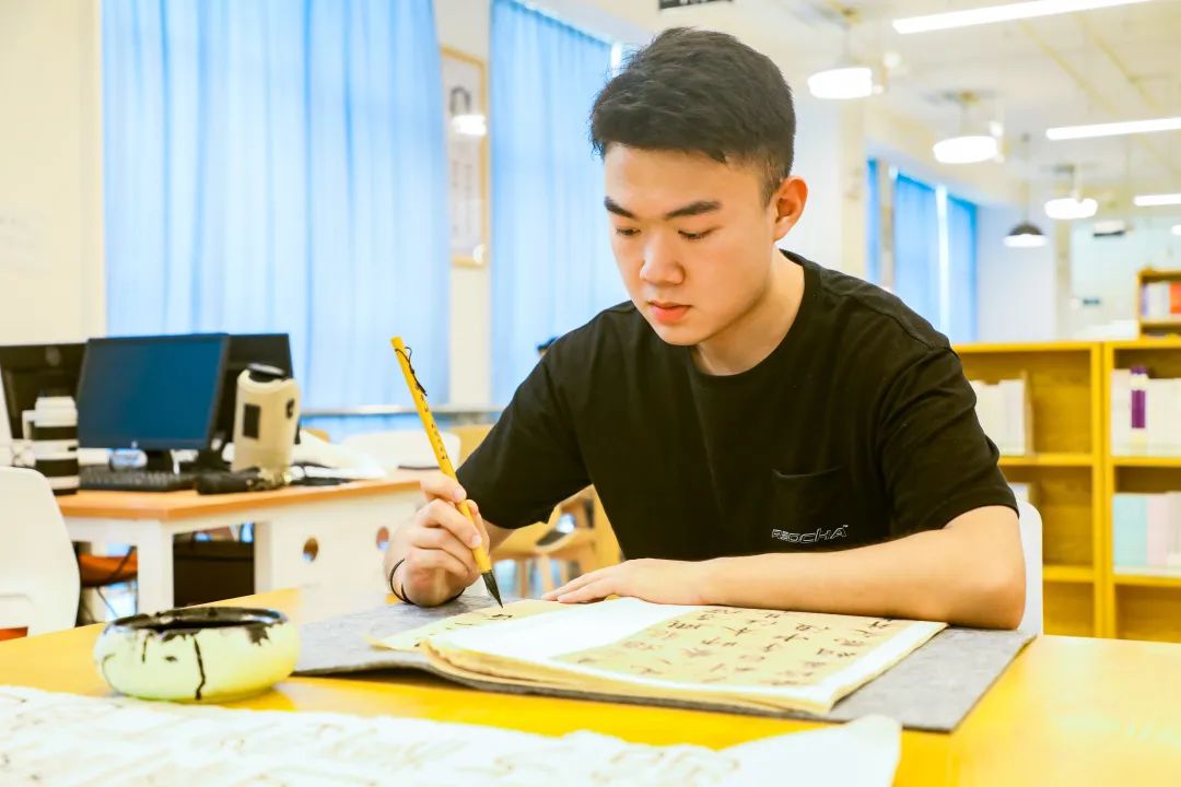 中南林业科技大学涉外学院招生线,中南林业大学涉外学院是公办吗