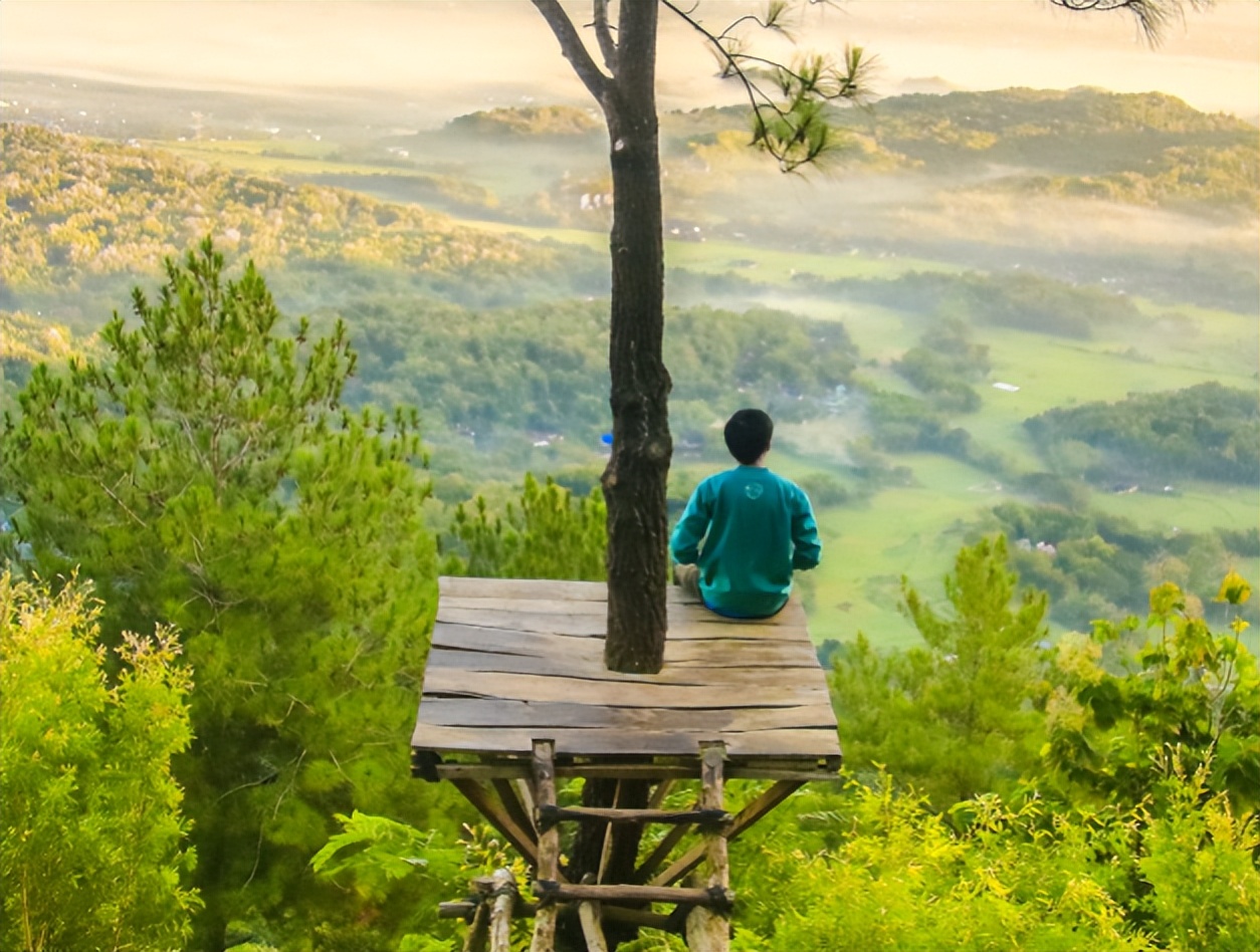 本体论精神分析/你长大后想成为什么样的人,上）