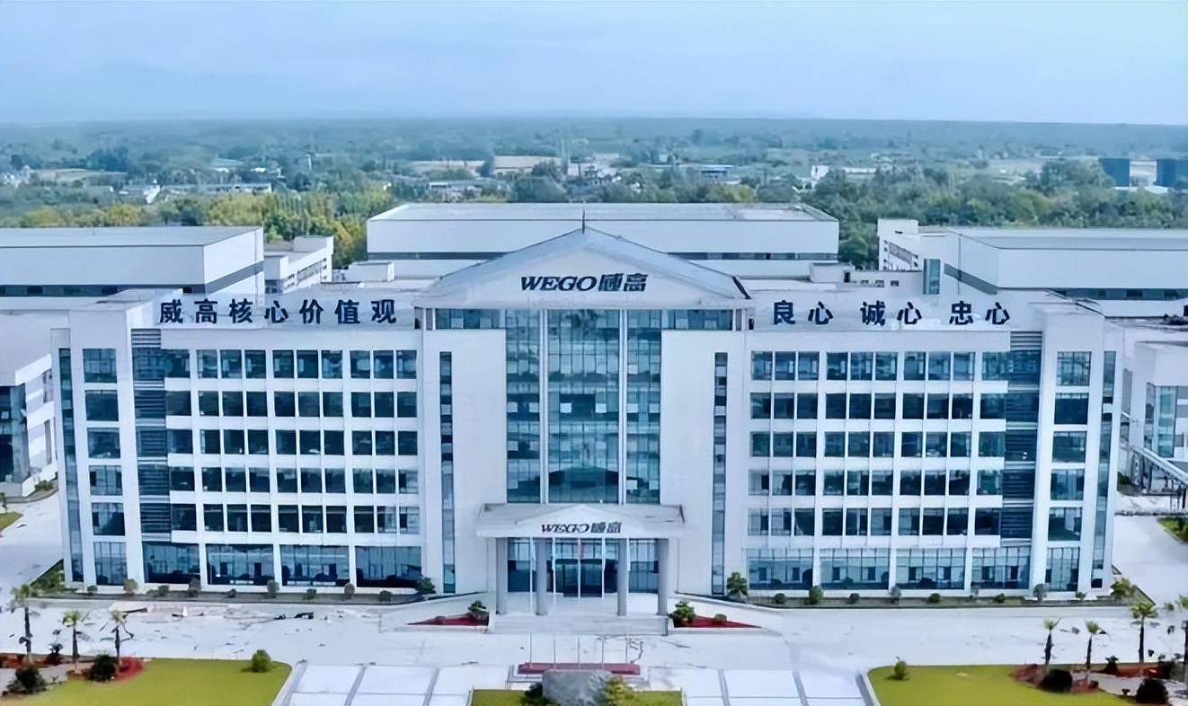 欧康医药深度分析,欧康医药上市