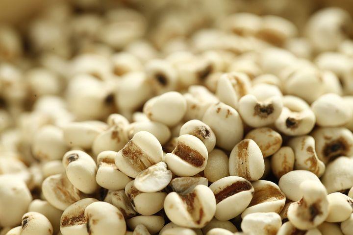 药食同源祛湿食材,健脾效果好的药食同源食材