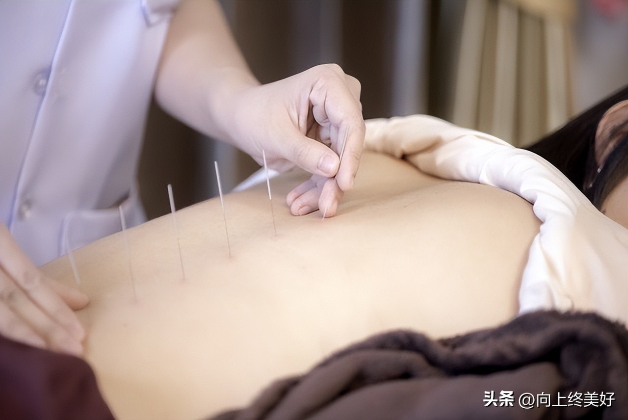 中医学专业好不好就业,成人教育学中医学