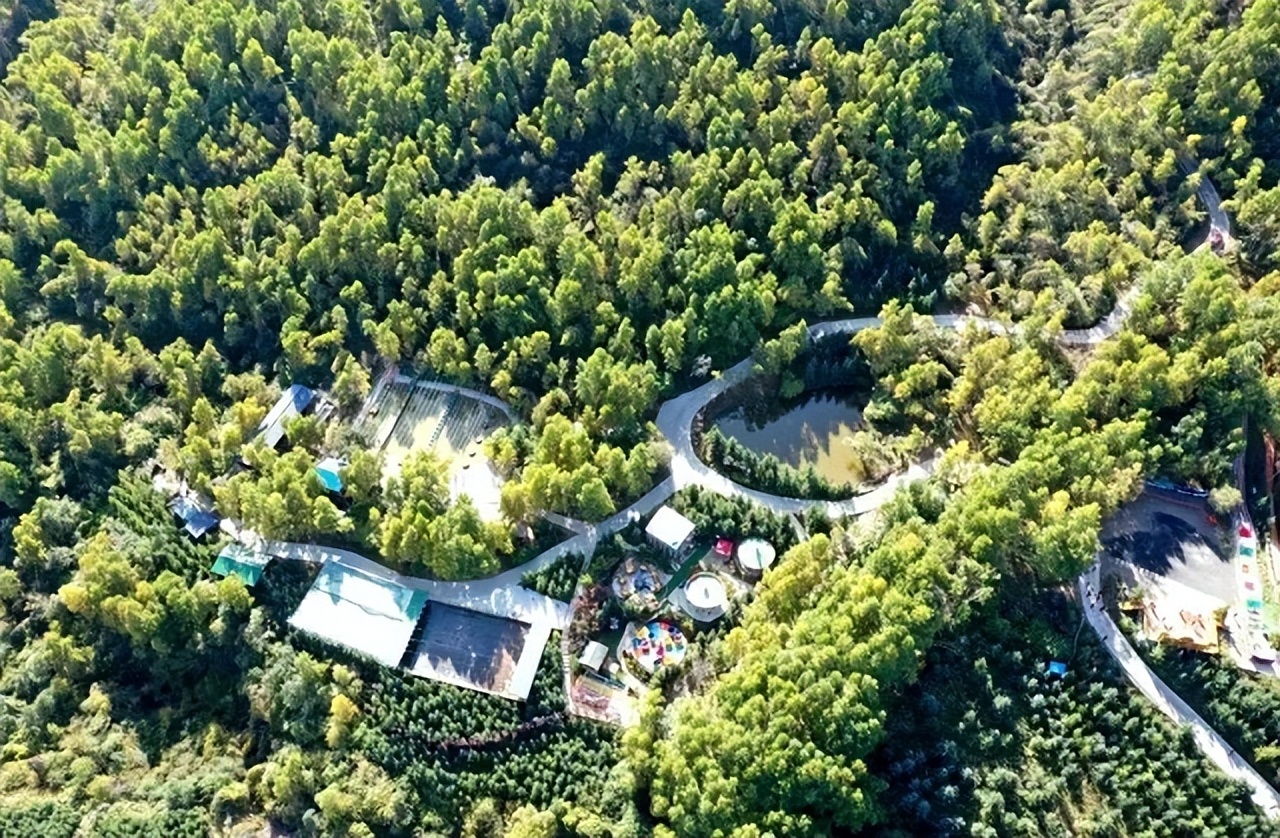 去临夏玩的攻略,临夏旅游线路推荐