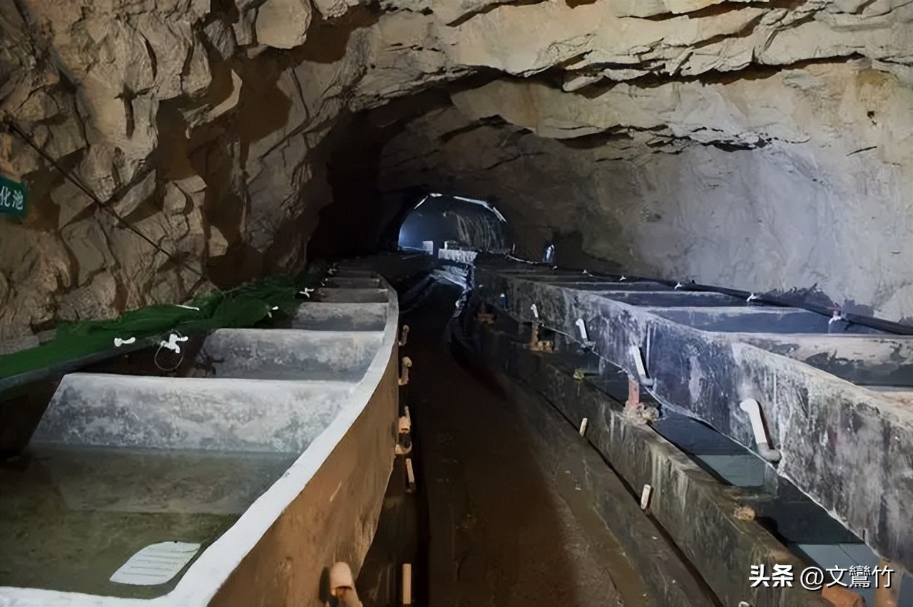 张家界甲鱼价钱表,张家界甲鱼