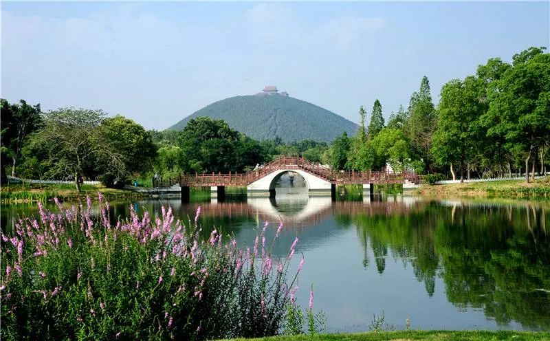 徐州国际工程机械交易会参展企业,徐州旅游会展项目有哪些