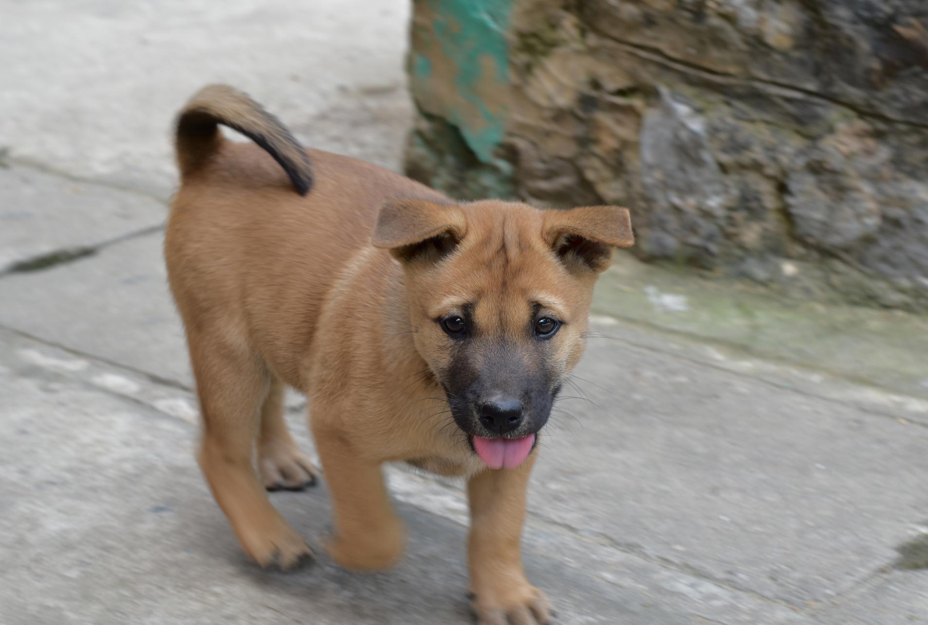 民间说的出了五福是啥意思,五福命格是指哪五福