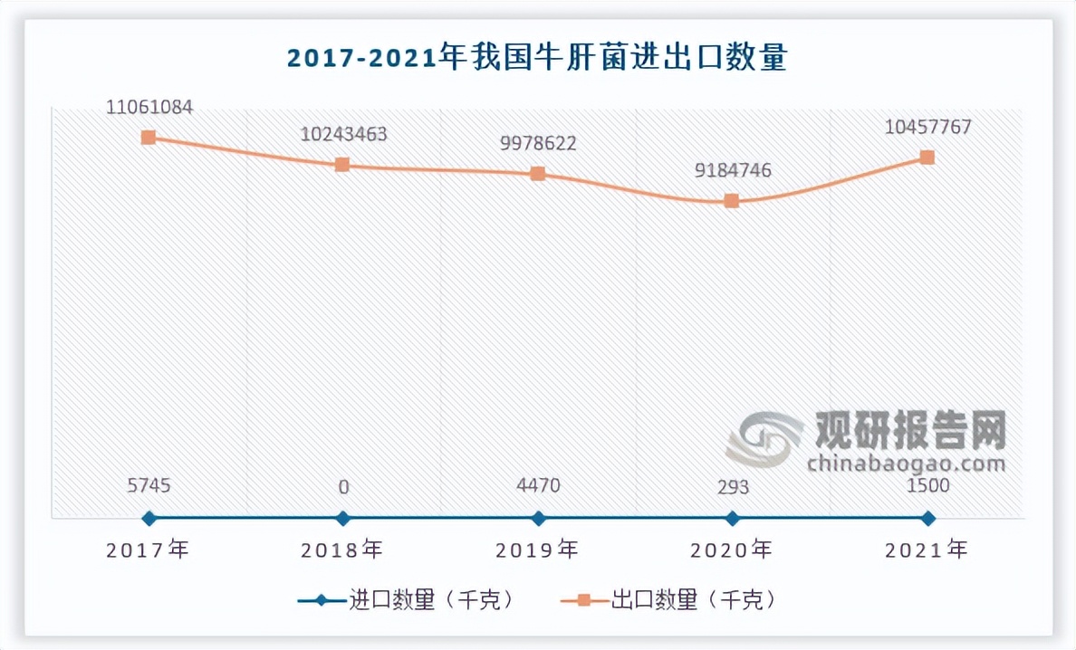 发展羊肚菌的前景,中国羊肚菌产业现状