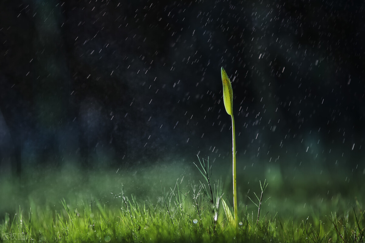 相机拍照片应该用什么模式,相机的7种拍照模式技巧