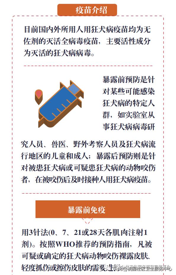 疫苗科普类宣传视频,接种狂犬疫苗科普视频