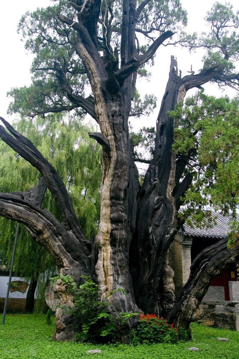 国内人气最旺的十大宗教名山,国内人气最旺十大名山