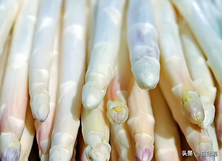 精品白芦笋,春季白芦笋