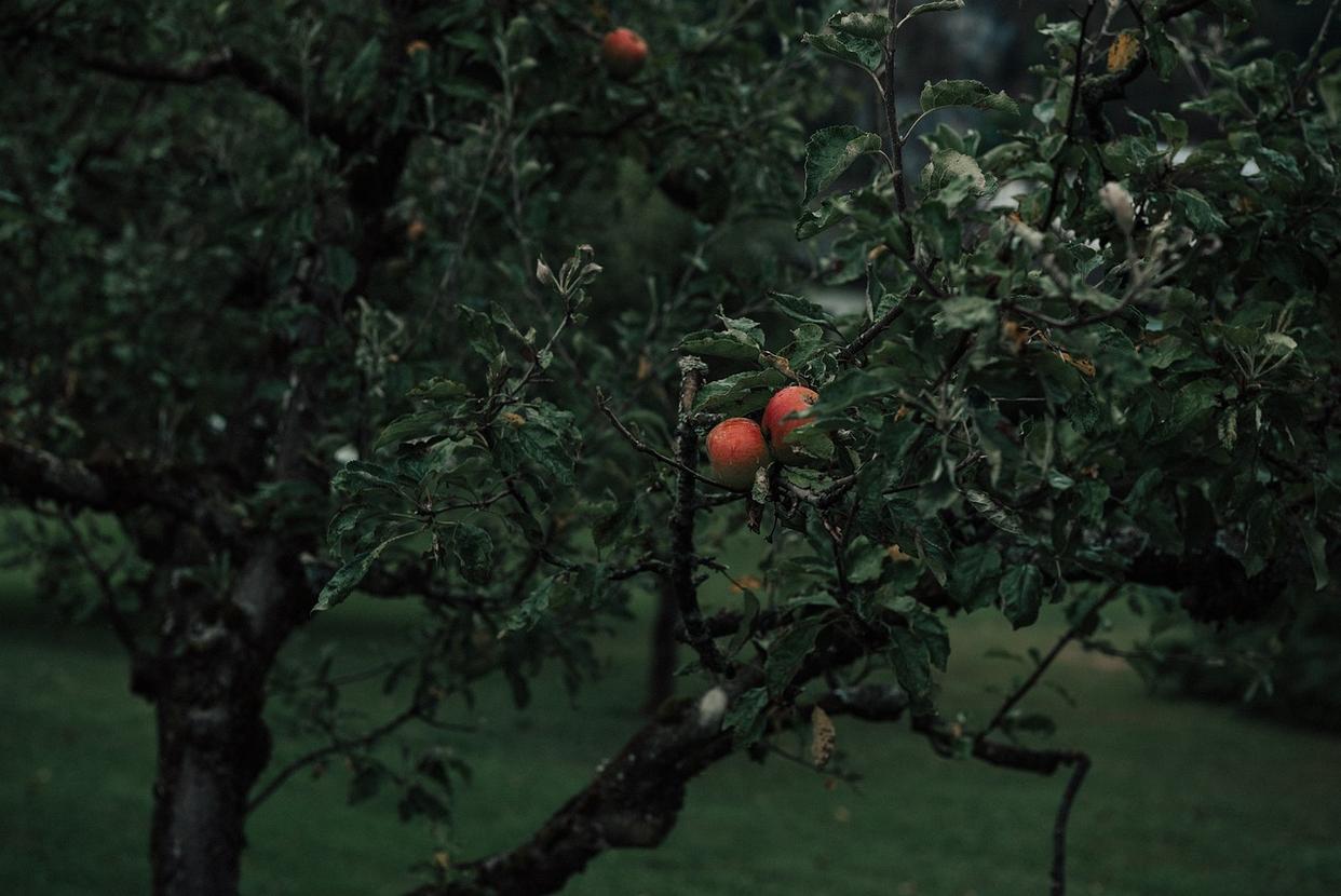 心理学脸皮厚,脸皮厚的人心理承受能力都强