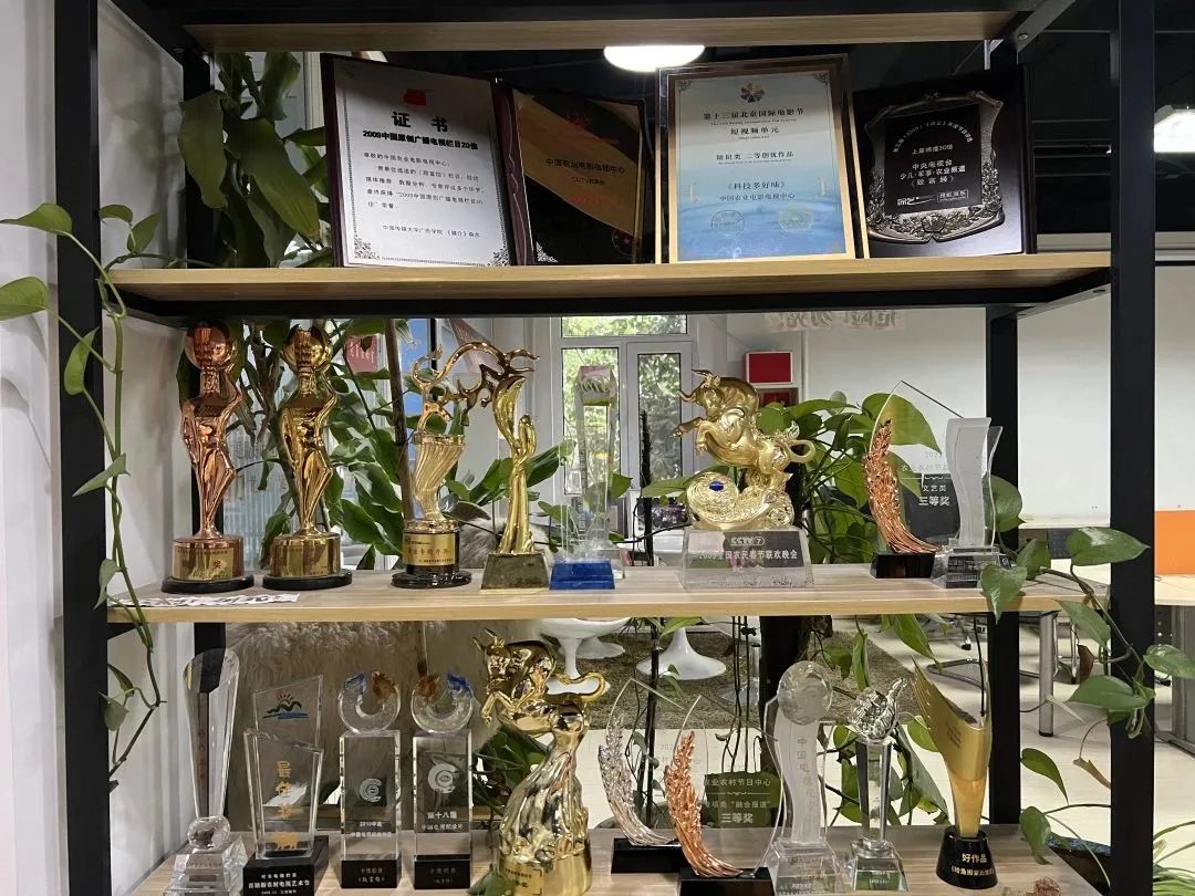 中央电视台的致富经旧节目翻新,致富经栏目在中央几台播出