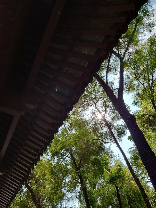 想入手索尼Xperia1IV？且看Xperia1III影像体验预习一下