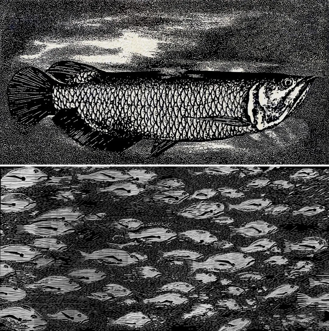 艺术评论|黑白风流