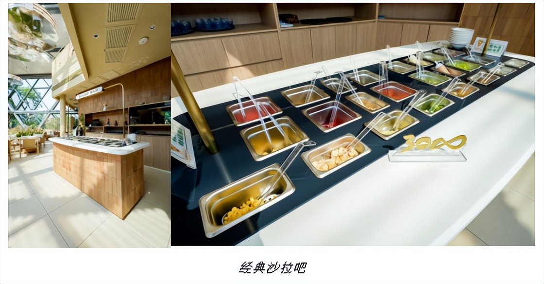 必胜客披萨发展史,必胜客所有披萨介绍