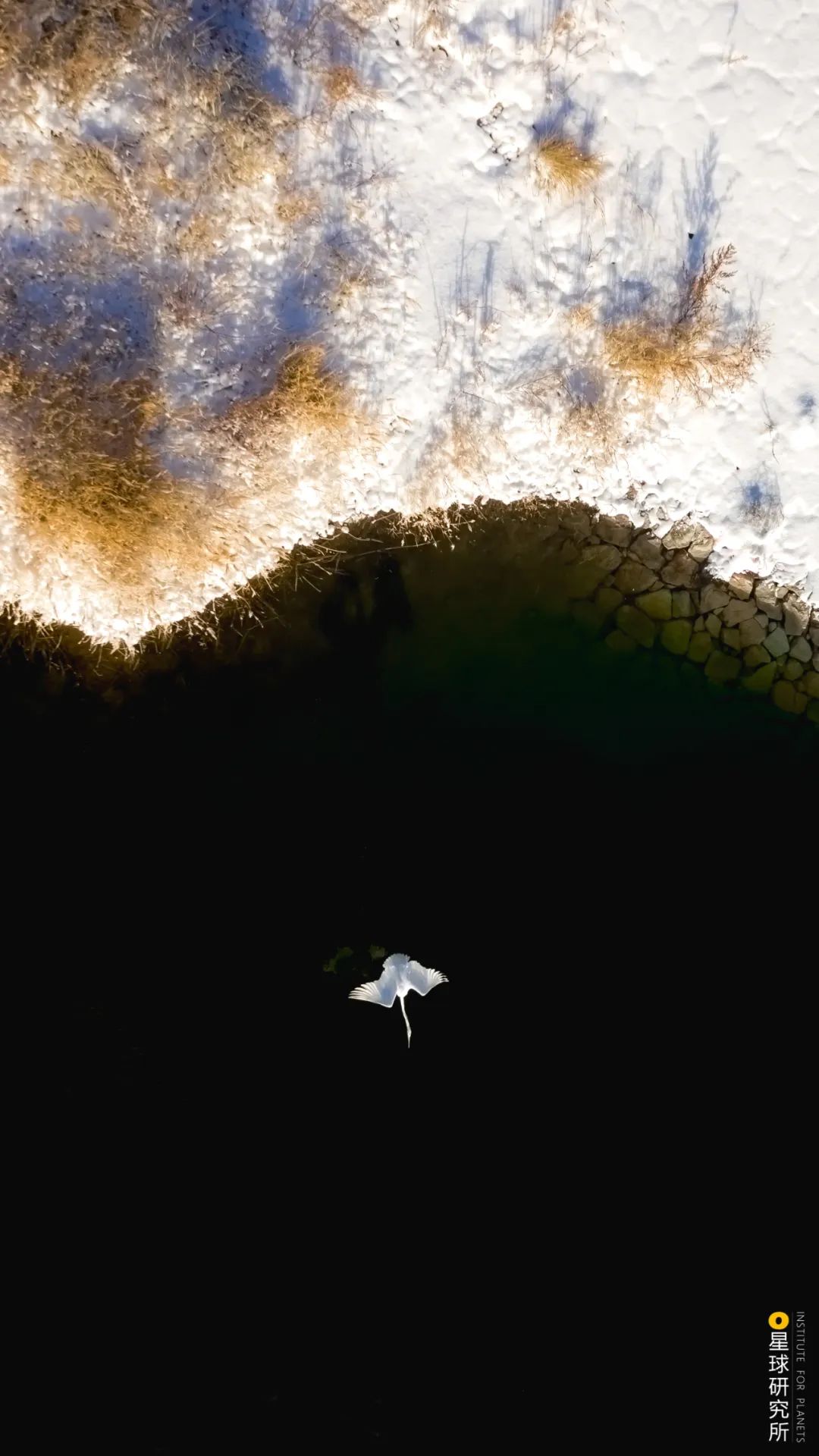 什么鬼城市,煤炭鬼城